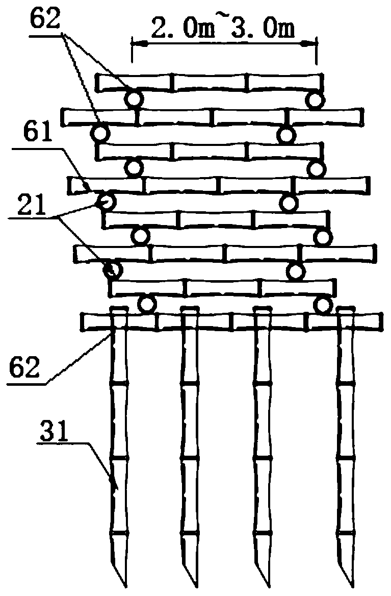 Flexible anchorage frame and ecological revetment structure