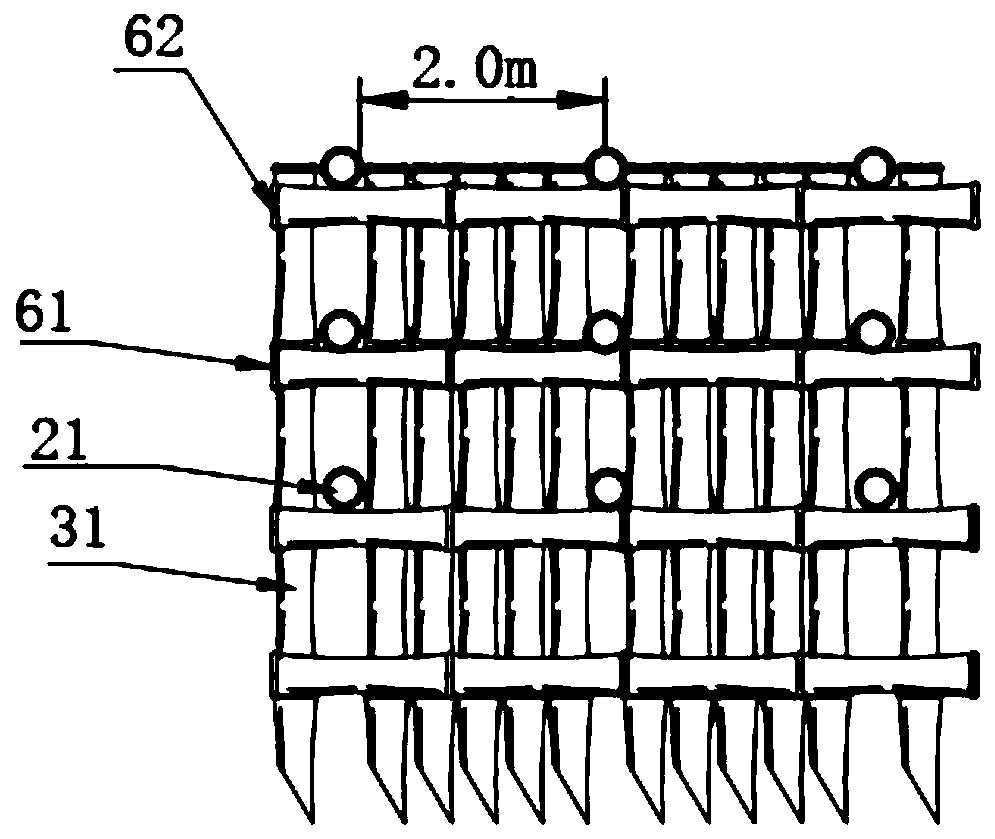 Flexible anchorage frame and ecological revetment structure