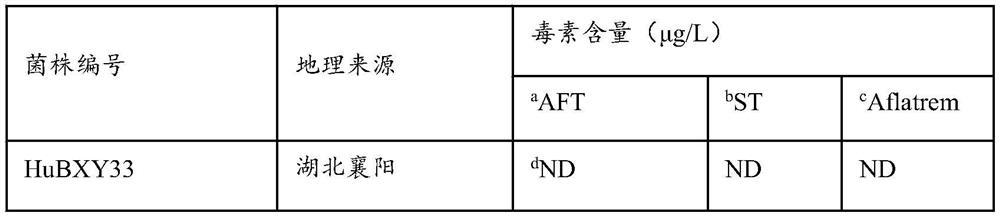 A non-toxic Aspergillus flavus hubxy33 and its application