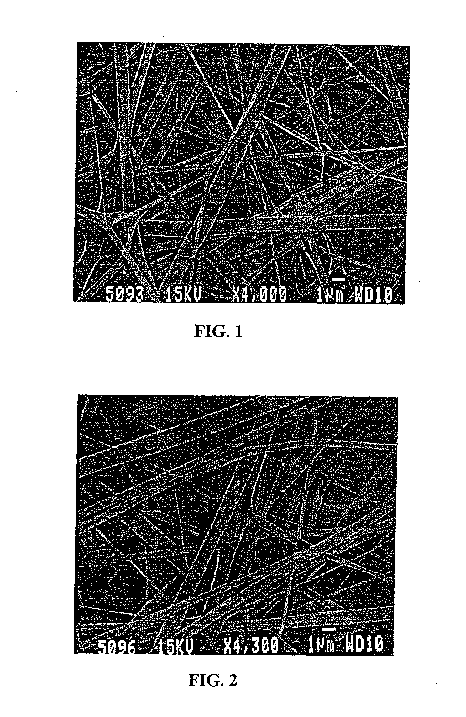 Electroprocessed Collagen and Tissue Engineering