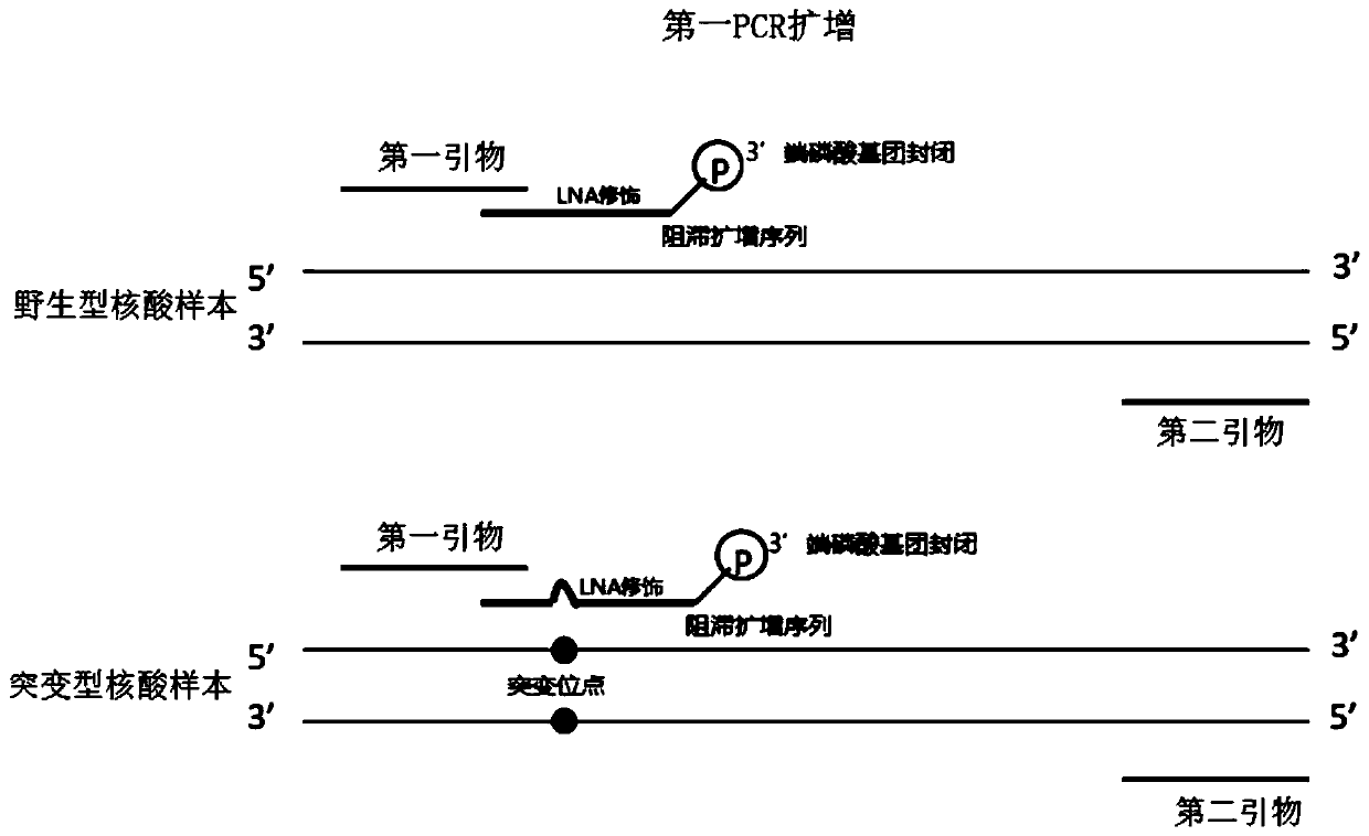 Method for detecting target mutation by carrying out retardation substitution amplification enrichment based on locked nucleic acid modified blocker