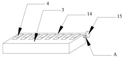 Water body microorganism sampling device