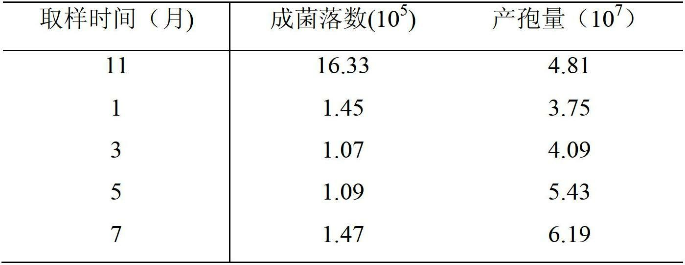 Beauveria bassiana preparation for controlling peach fruit borers and preparation method thereof