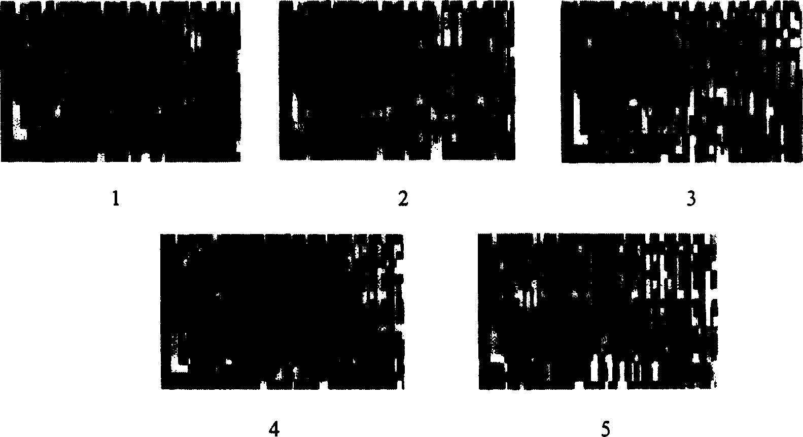 Method for producing Chinese medicine fingerprint atlas