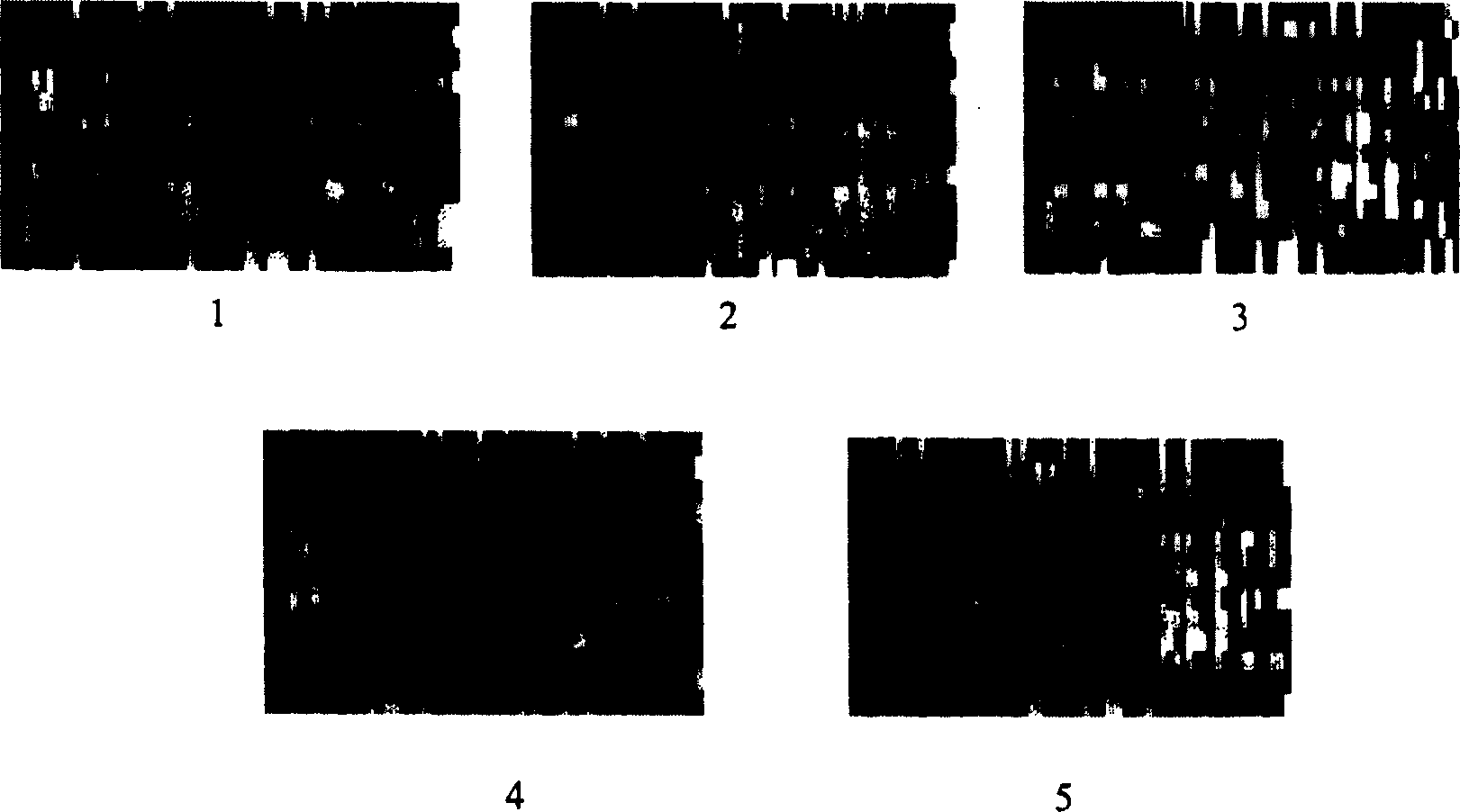 Method for producing Chinese medicine fingerprint atlas