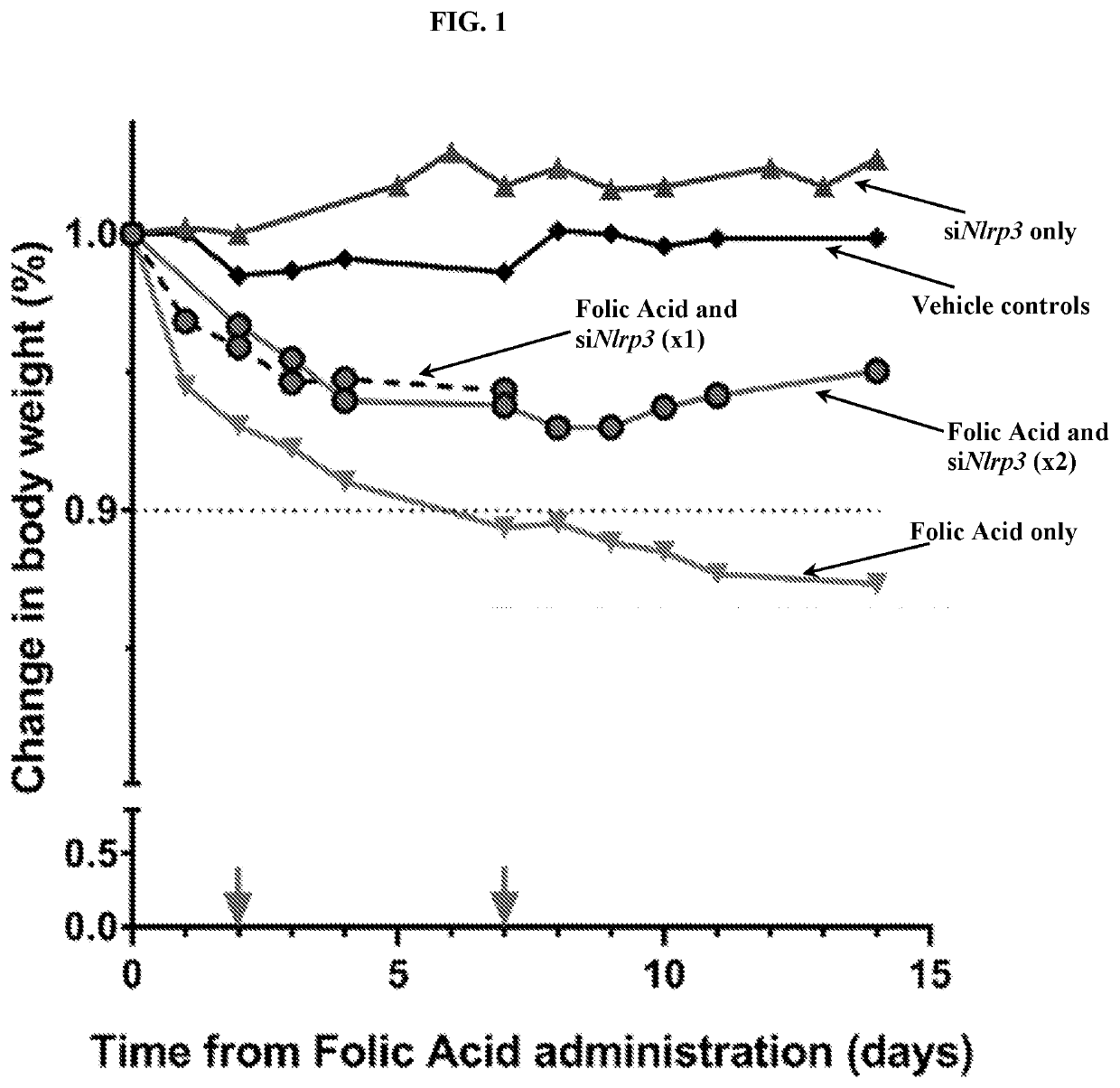 Inflammasome-targeted RNA interference approach to treating kidney injury and disease