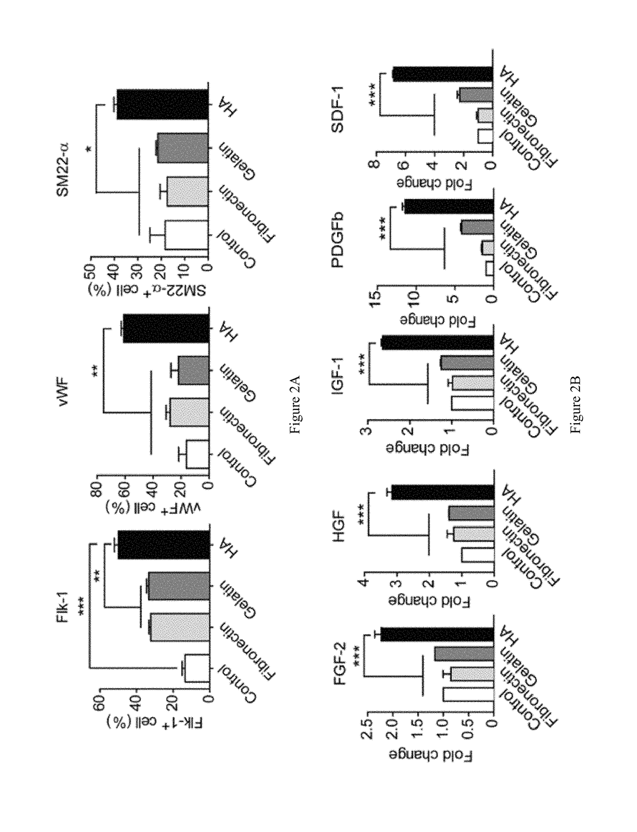 Methods and compositions comprising hyaluronan for enhancing bone marrow cell therapy