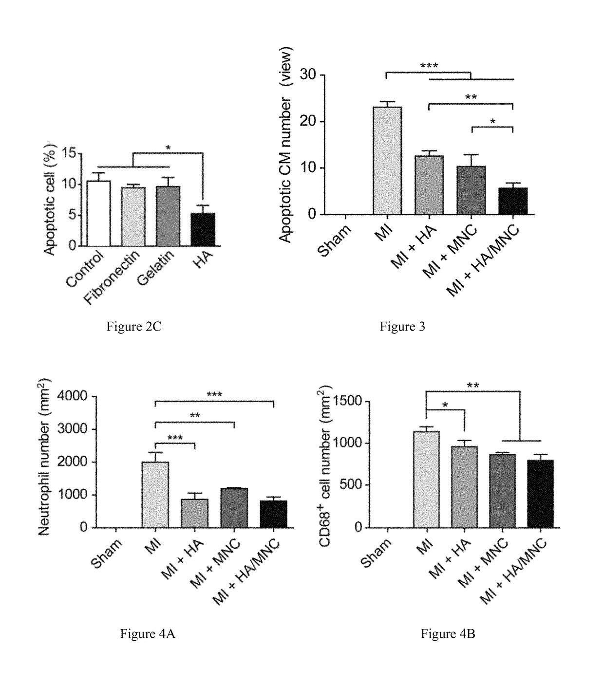 Methods and compositions comprising hyaluronan for enhancing bone marrow cell therapy