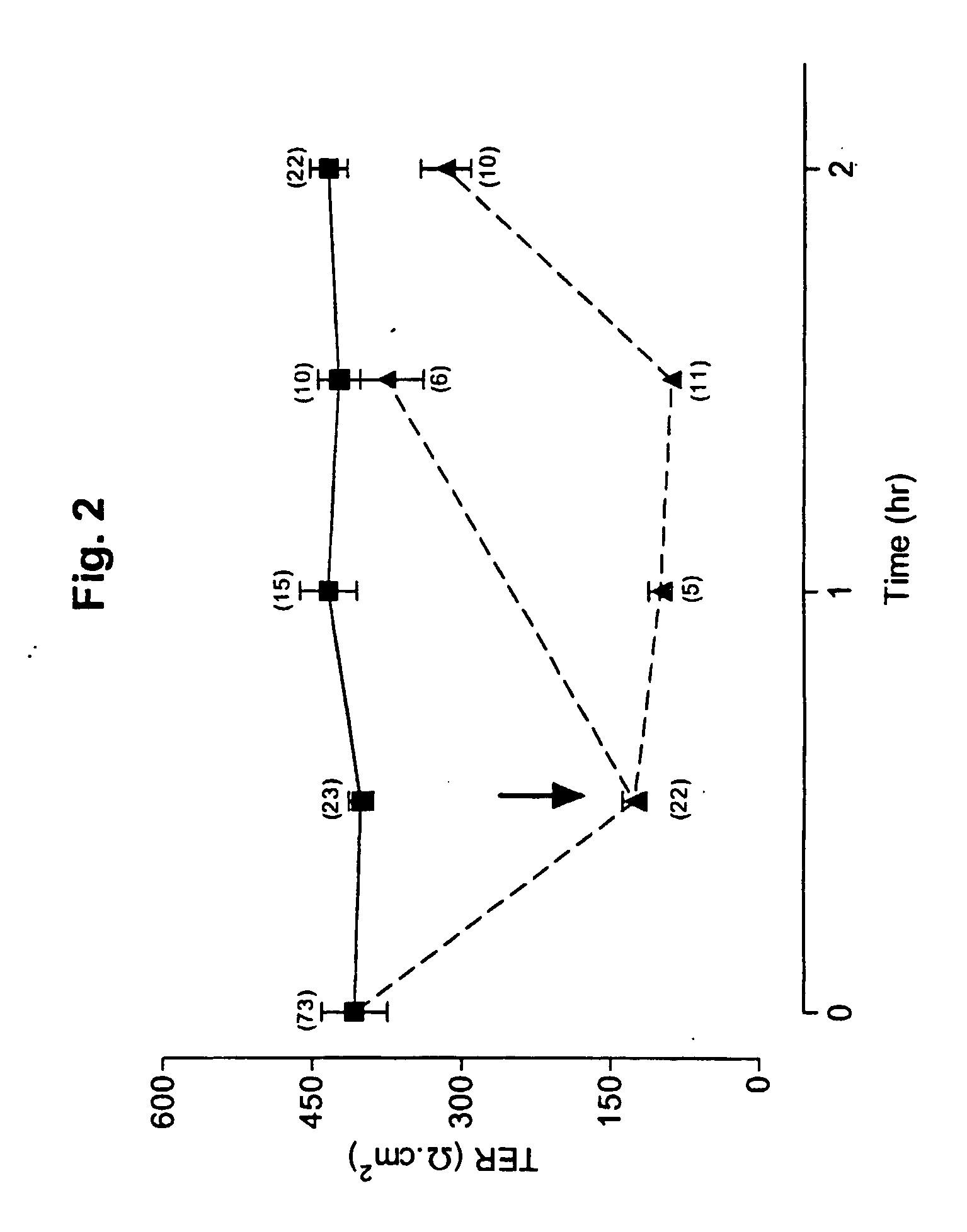 Employment of rotavirus proteins, derived proteins and peptides for the modulation of tisssue permeability