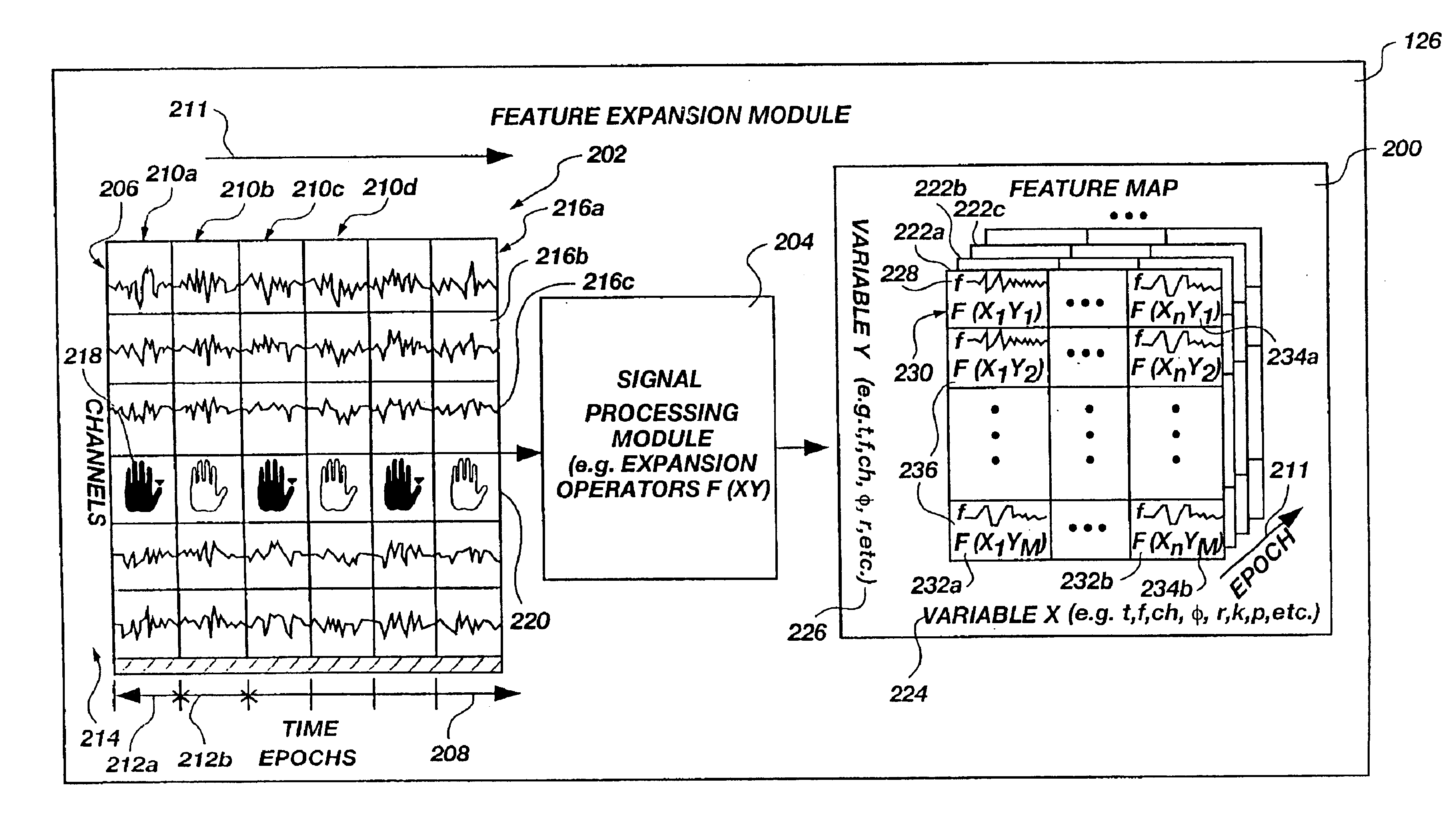 Petroleum exploration and prediction apparatus and method