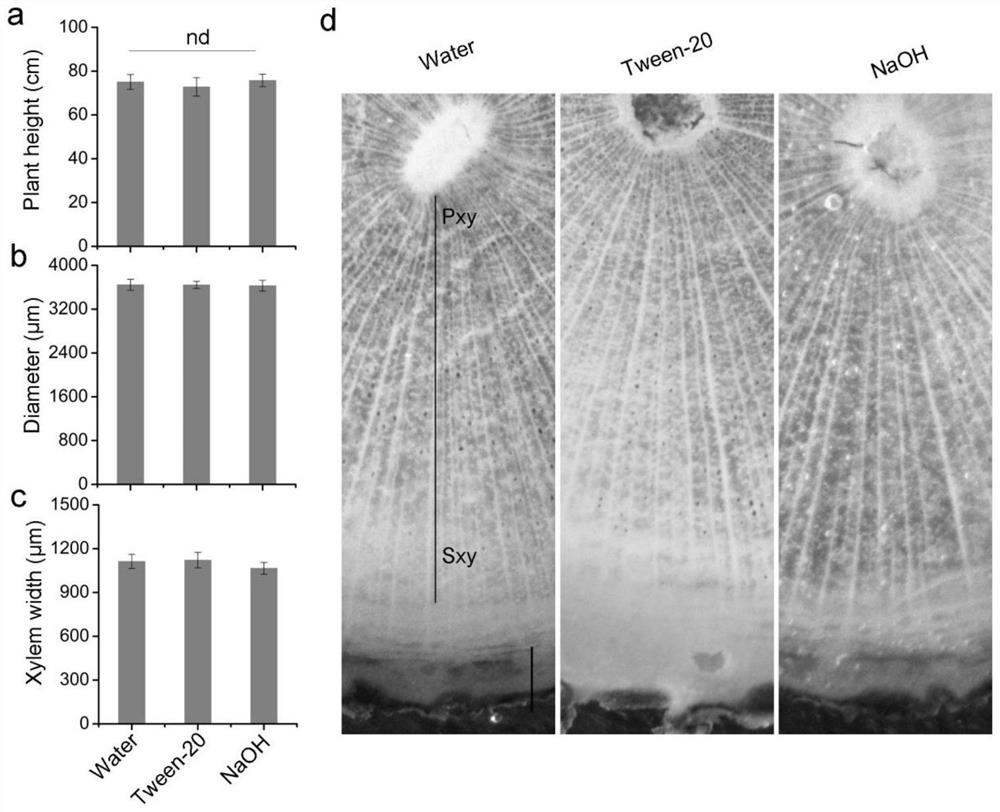 Application of Chemical Elicitors in Promoting Stem Growth and Development of Sandalwood Seedlings