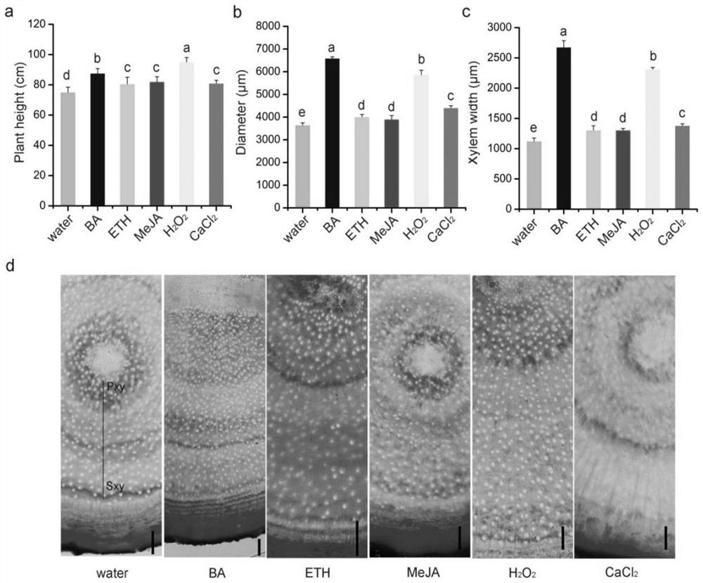 Application of Chemical Elicitors in Promoting Stem Growth and Development of Sandalwood Seedlings