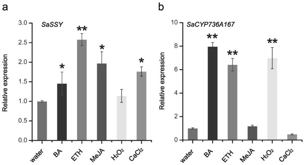 Application of Chemical Elicitors in Promoting Stem Growth and Development of Sandalwood Seedlings