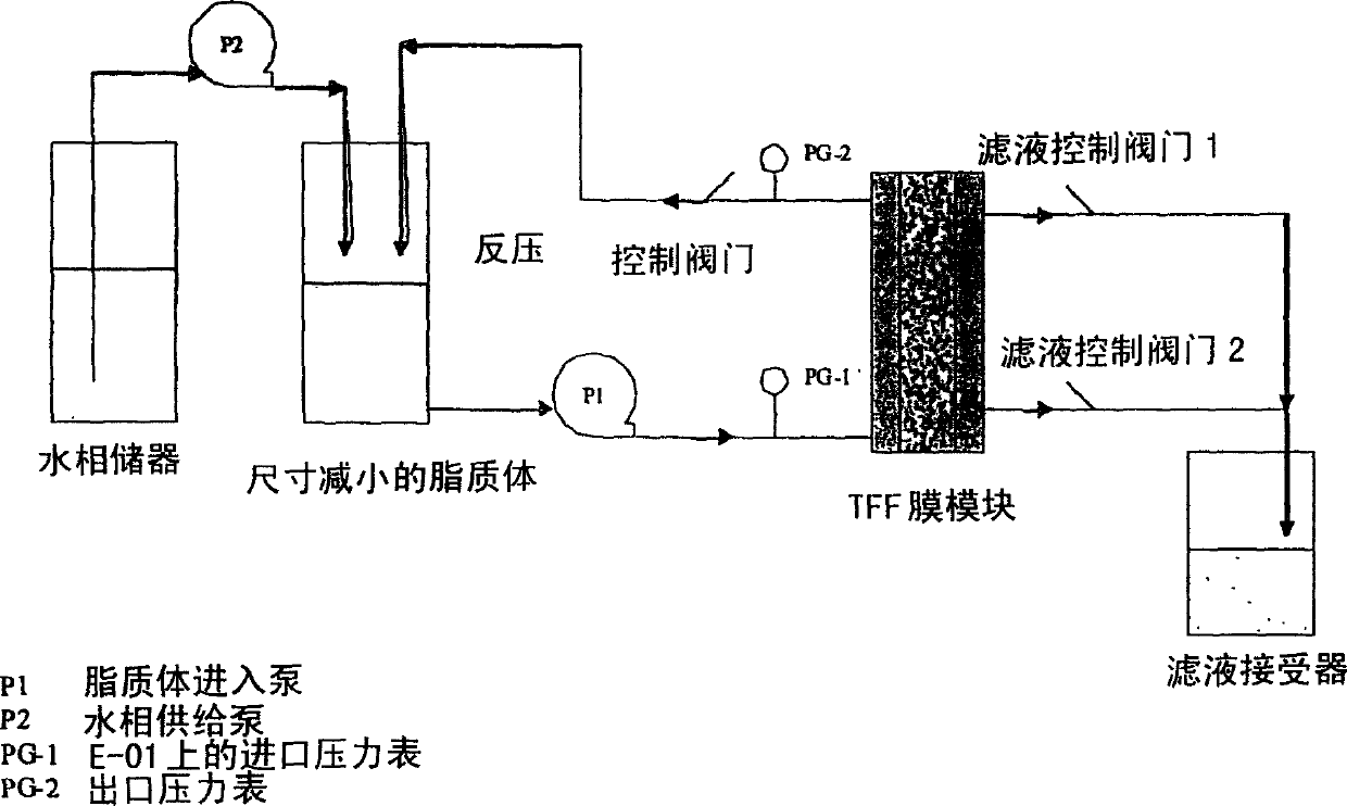 Manufacturing process for liposomal preparations