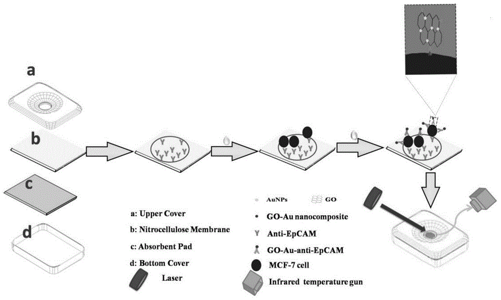 Nanometer-material-photothermal-effect-based cell detection method and cell detection device