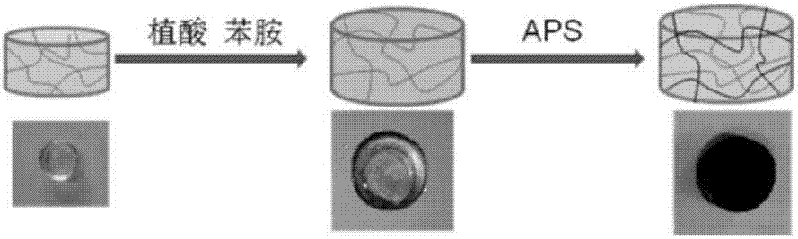 Preparation method for polyaniline-based self-repairing conductive hydrogel