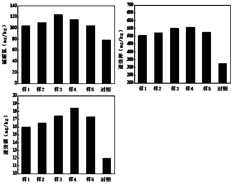 Saline-alkali soil improver carbon-based fertilizer as well as preparation method and application thereof