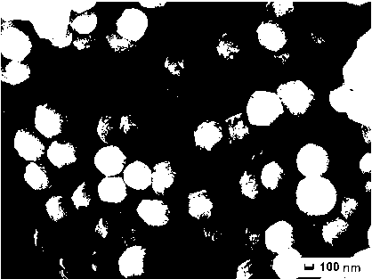 Preparation method of graphene oxide/iron disulfide composite nano particles