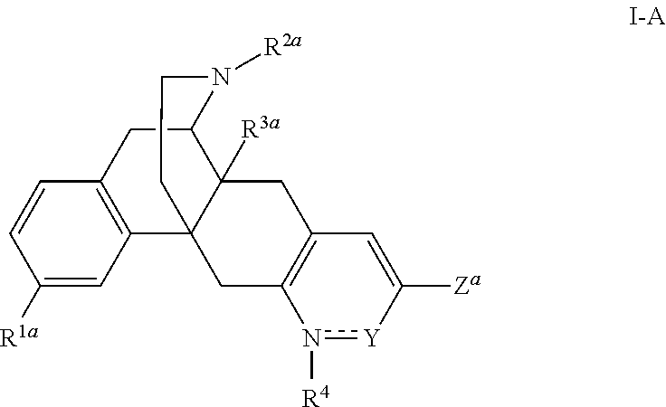 Pyridonemorphinan analogs and biological activity on opioid receptors