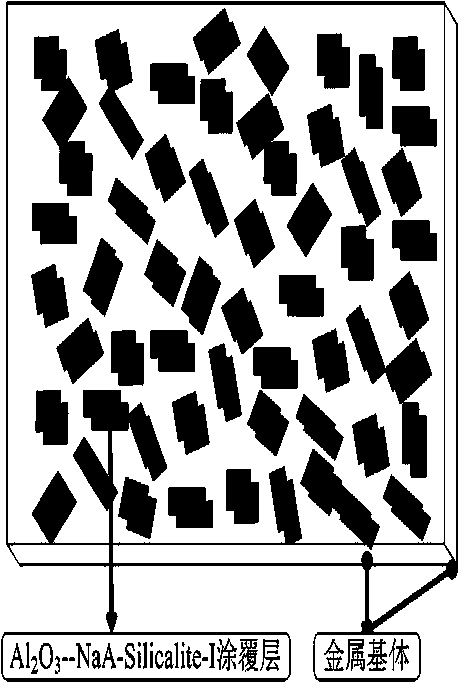 A kind of preparation method of mfi-lta molecular sieve monolayer composite membrane