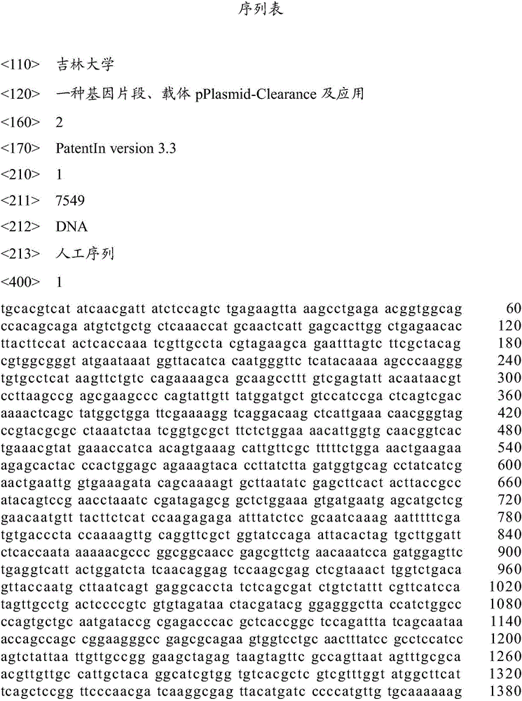 Gene fragment, vector pPlasmid-Clearance and application