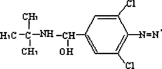 Clenbuterol complete antigen and method for preparing monoclonal antibody thereof