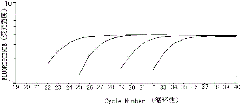 Kit for detecting expression index of mRNA (messager Ribose Nucleic Acid) of WT1 (Wilms Tumor 1) gene