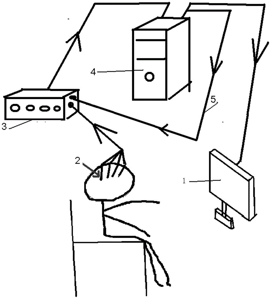 Device, method and system for positioning cerebral-cortex functional area