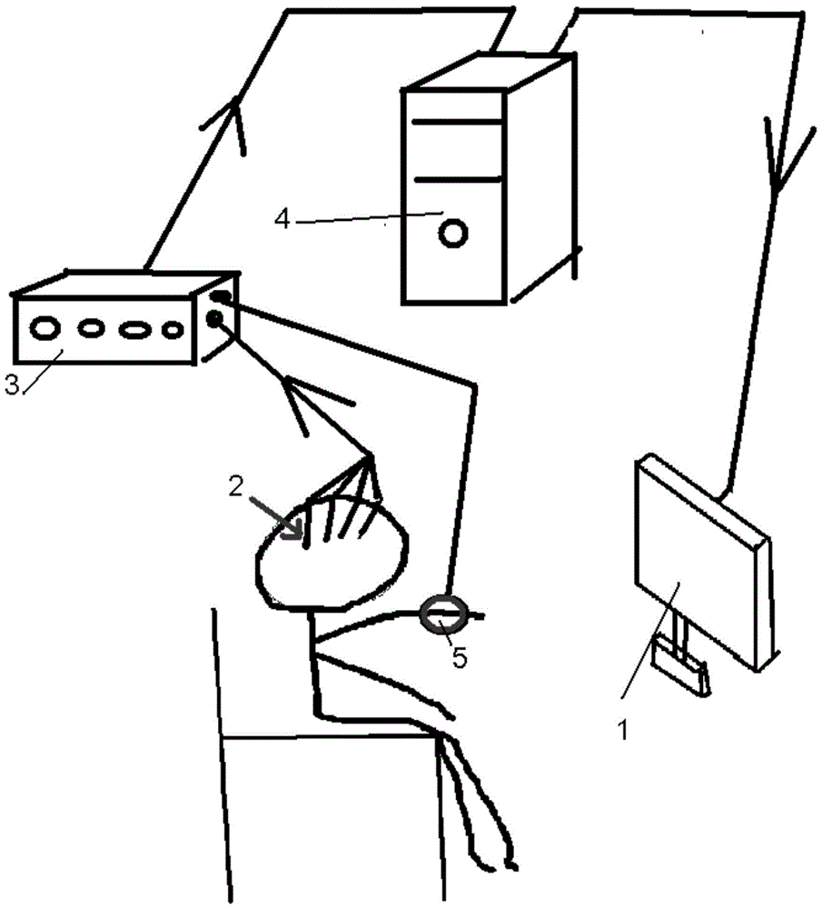 Device, method and system for positioning cerebral-cortex functional area