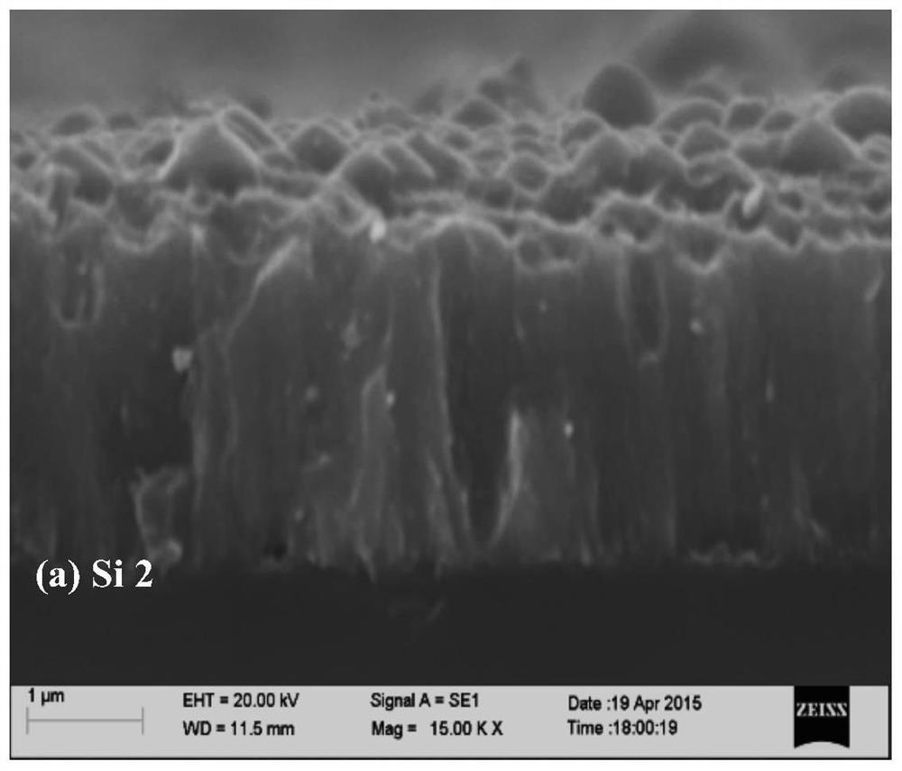 crsic composite coating for water-based liquid environment and its preparation method and application