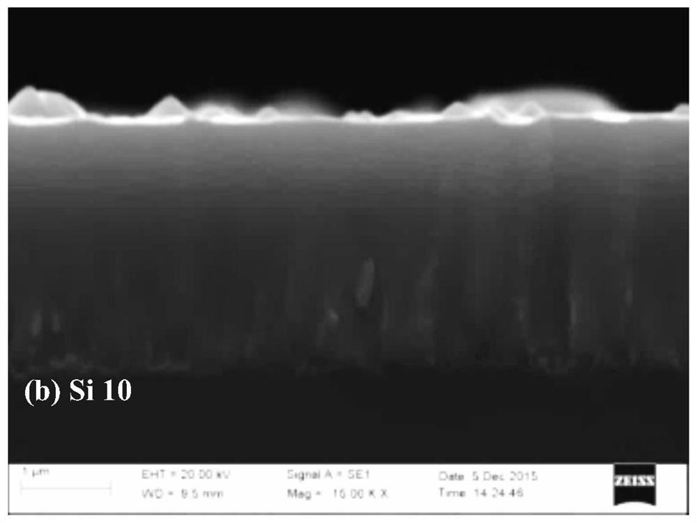 crsic composite coating for water-based liquid environment and its preparation method and application