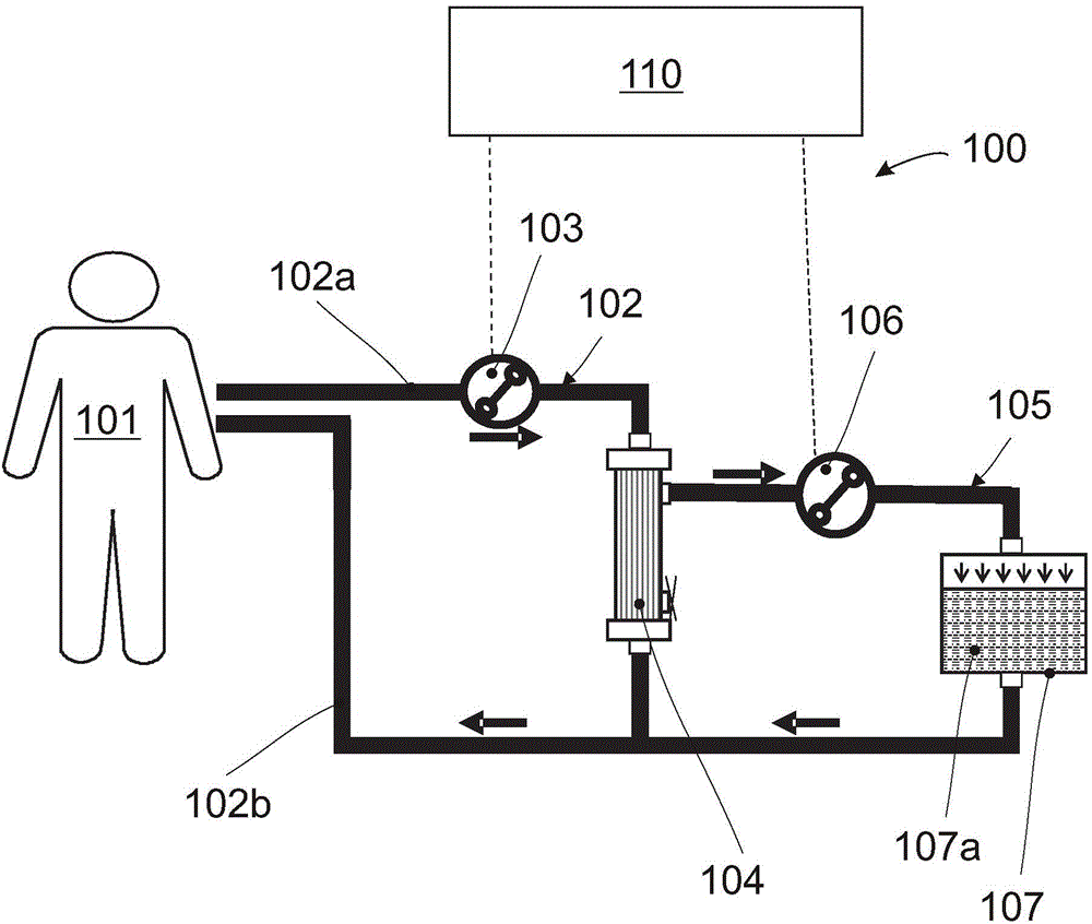 Extracorporeal perfusion apparatus