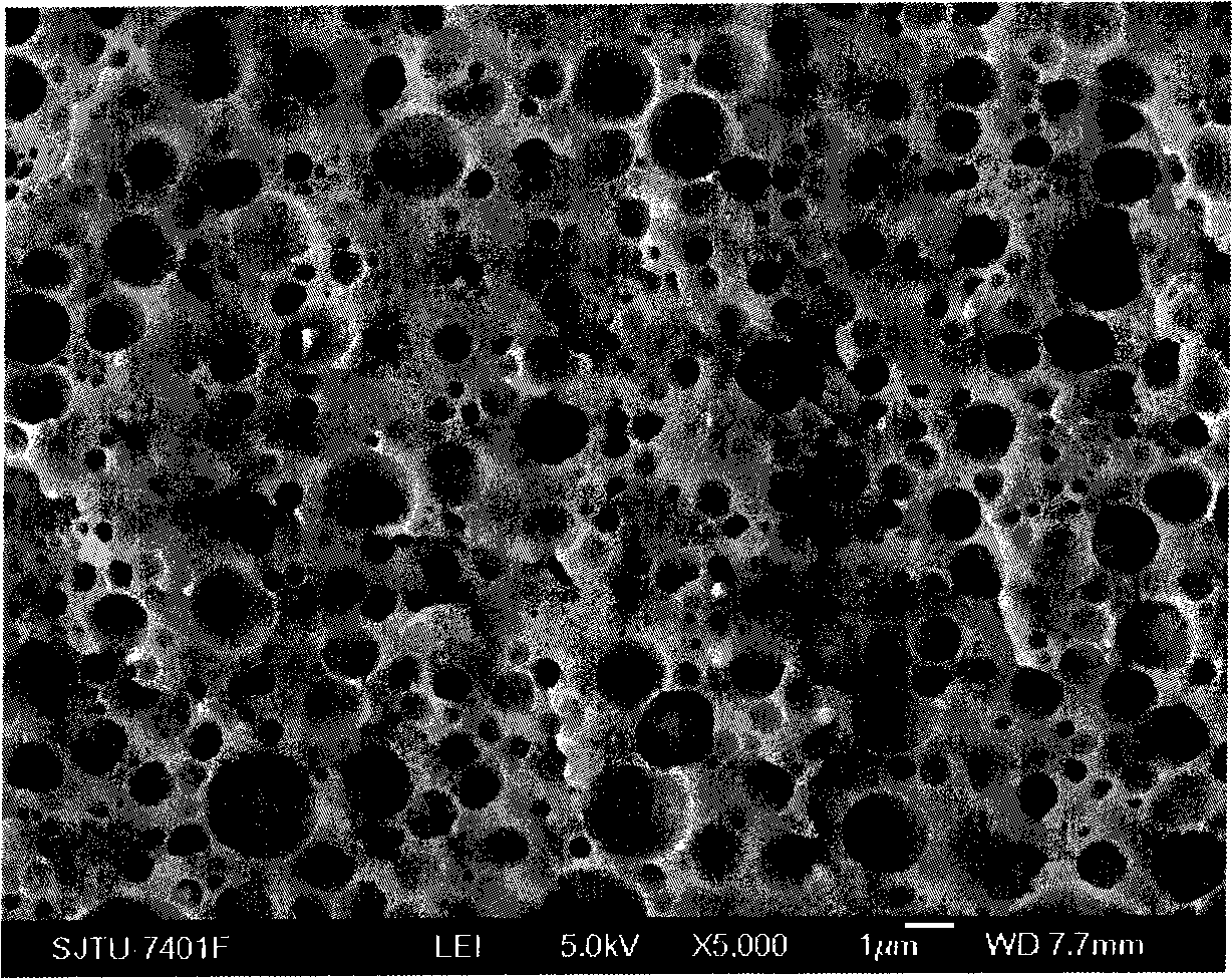 Capacity increasing modifying method for polyphenylene oxide / nylon 6 alloy