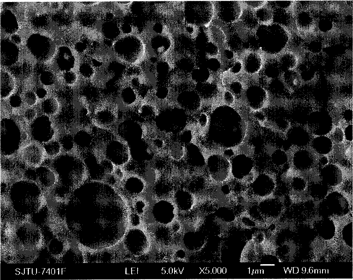 Capacity increasing modifying method for polyphenylene oxide / nylon 6 alloy