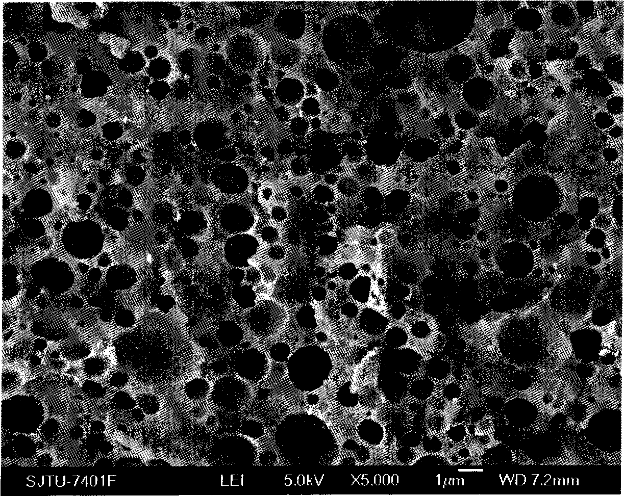 Capacity increasing modifying method for polyphenylene oxide / nylon 6 alloy