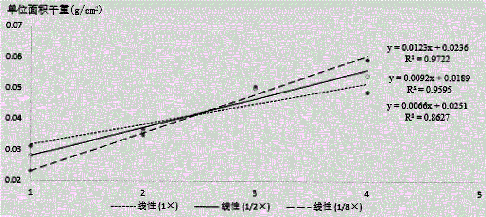 Culture method of brachytheciaceae