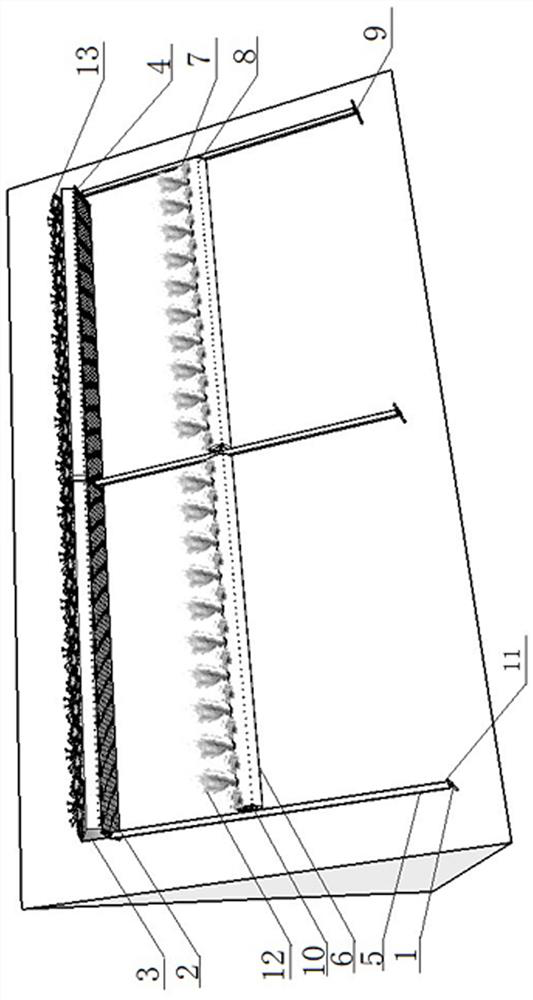 A dynamic and static combined ecological belt and its construction method for hardened urban river slopes