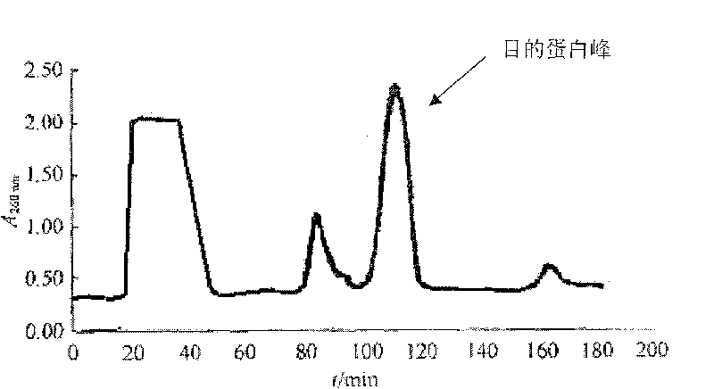 Process of extracting and preparing deer nerve growth factor (DEER NGF)