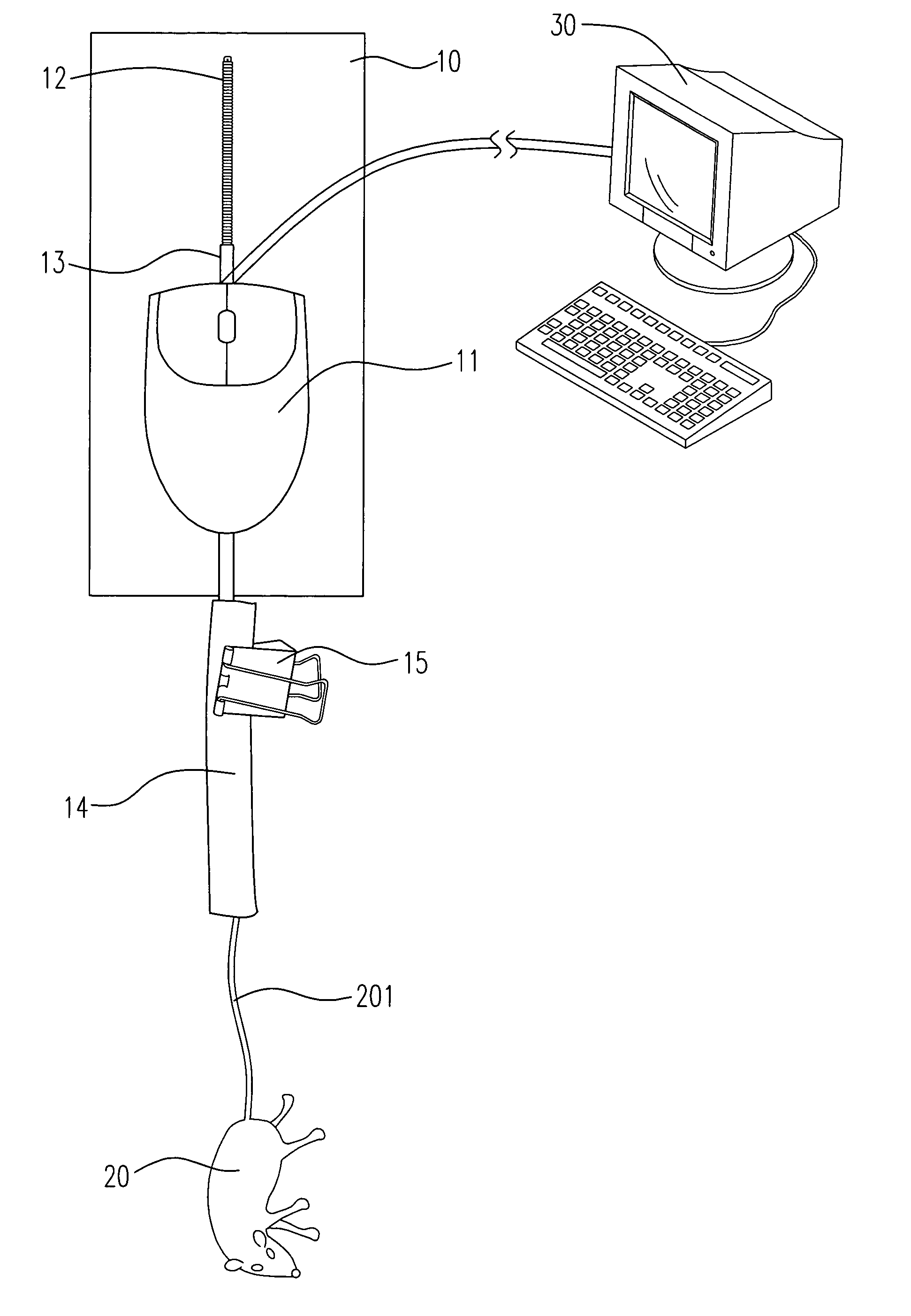 Tail suspension test apparatus