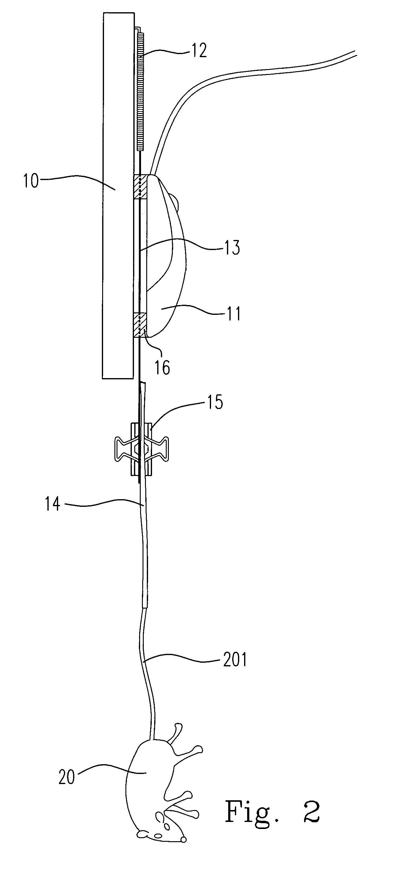 Tail suspension test apparatus