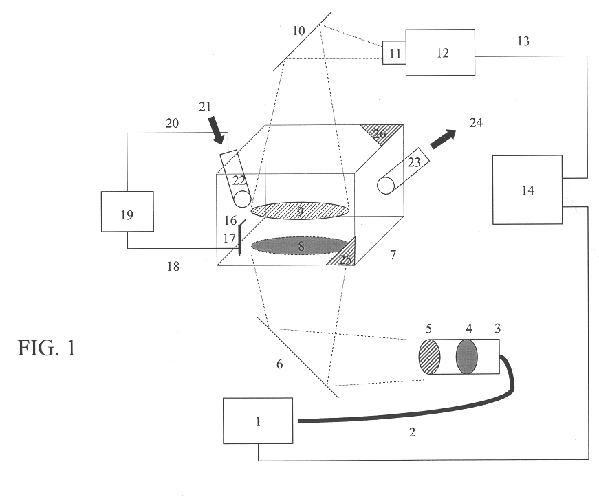 Solid phase enzyme kinetics screening in microcolonies