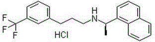 Skin external-use patch containing calcium-sensing receptor stimulant