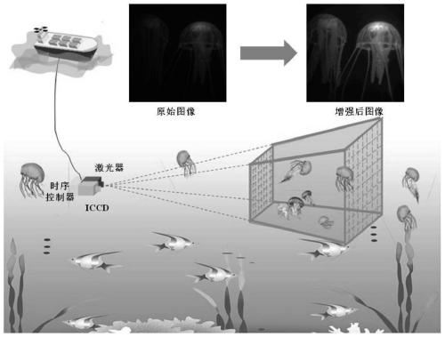 Bilateral adaptive image visualization enhancement method and imaging system