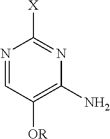 PROCESS FOR THE PREPARATION OF 5-SUBSTITUTED-8-ALKOXY[1,2,4]TRIAZOLO[1,5-c]PYRIMIDIN-2-AMINES