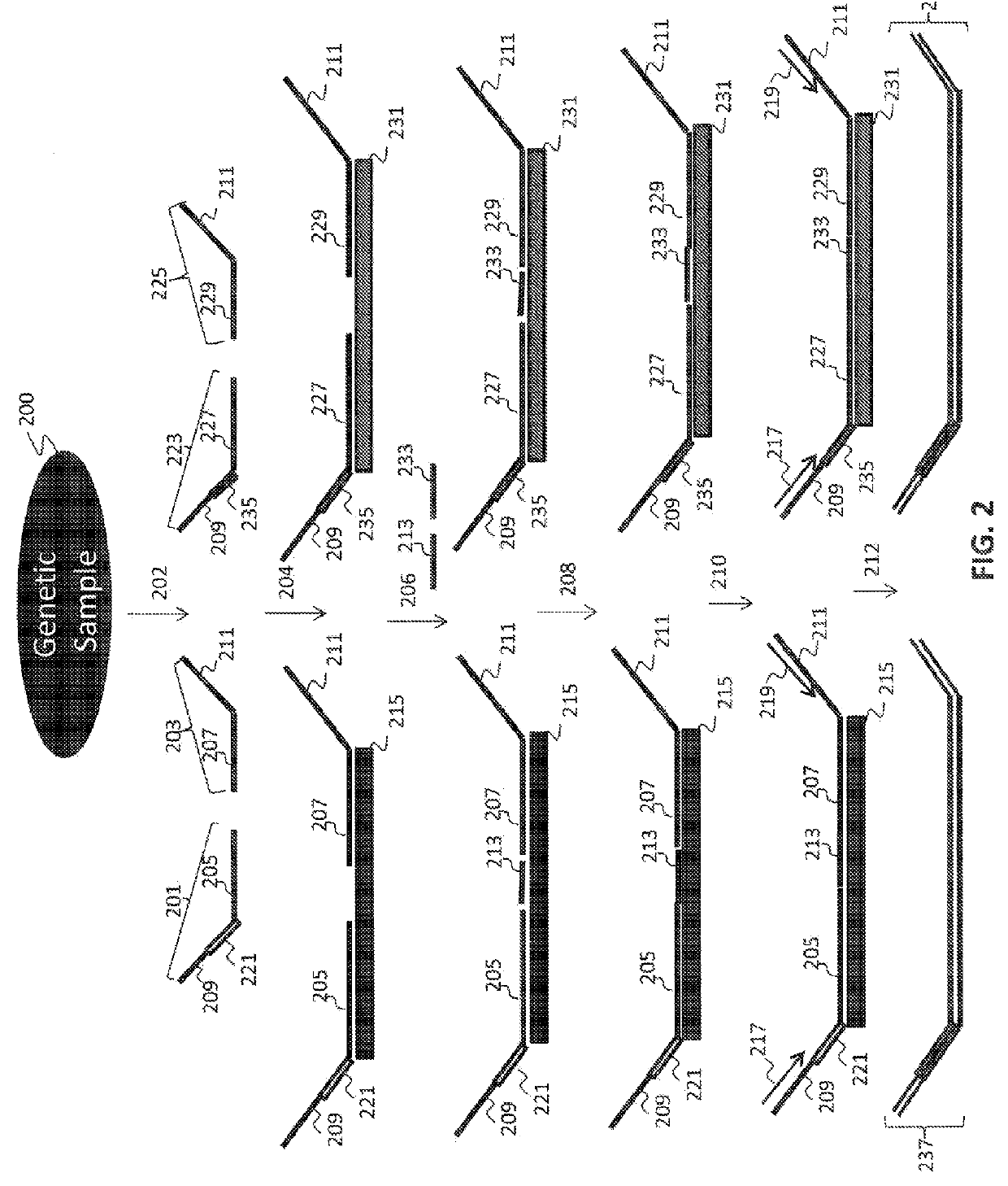 Non-invasive fetal sex determination