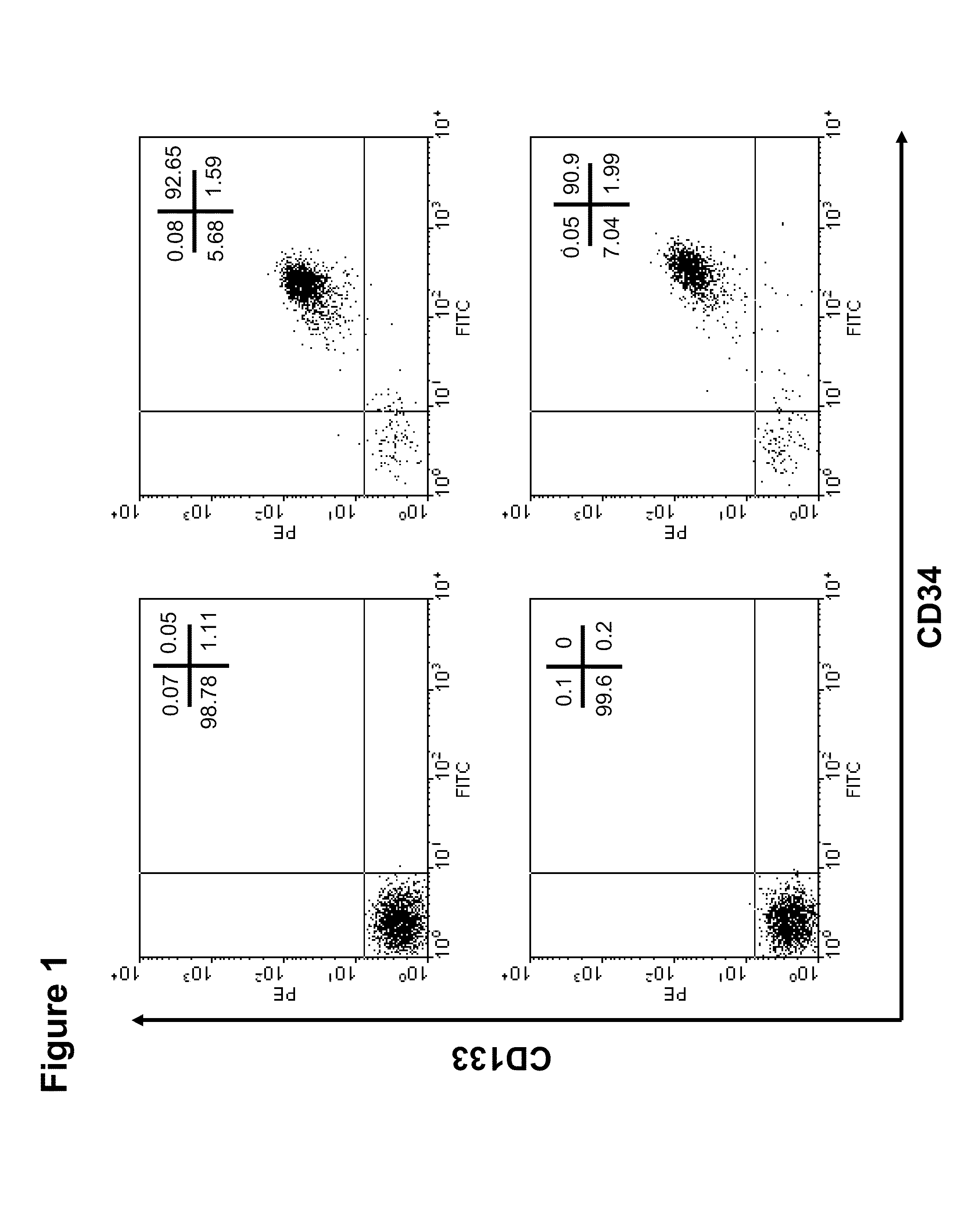 Erythrocytes differentiated in vitro from nanofiber expanded CD133+ cells