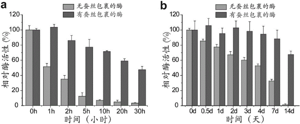 Preparation method of silk nano globules coating enzyme and application thereof