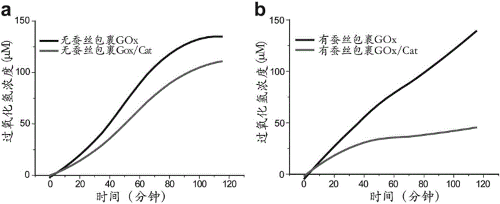 Preparation method of silk nano globules coating enzyme and application thereof