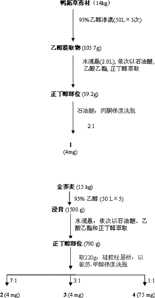 Application of flavan compound in preparing anti-complement medicines