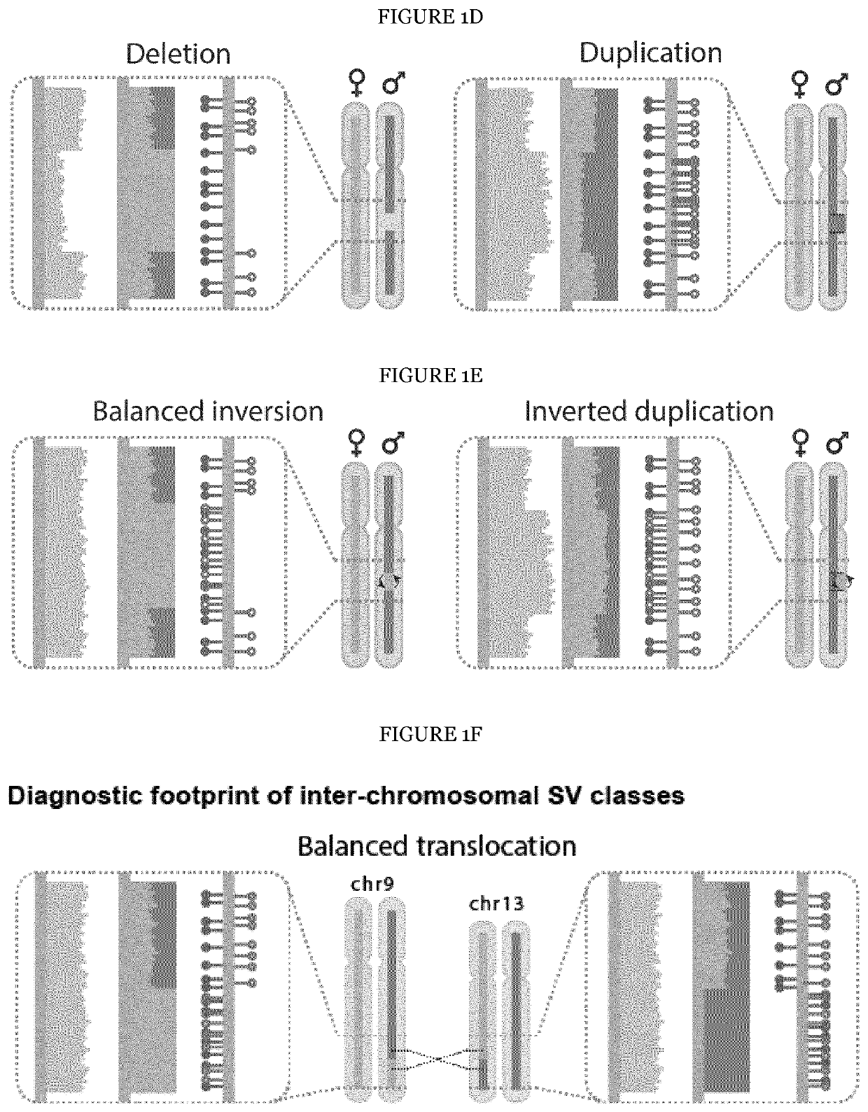 Comprehensive detection of single cell genetic structural variations